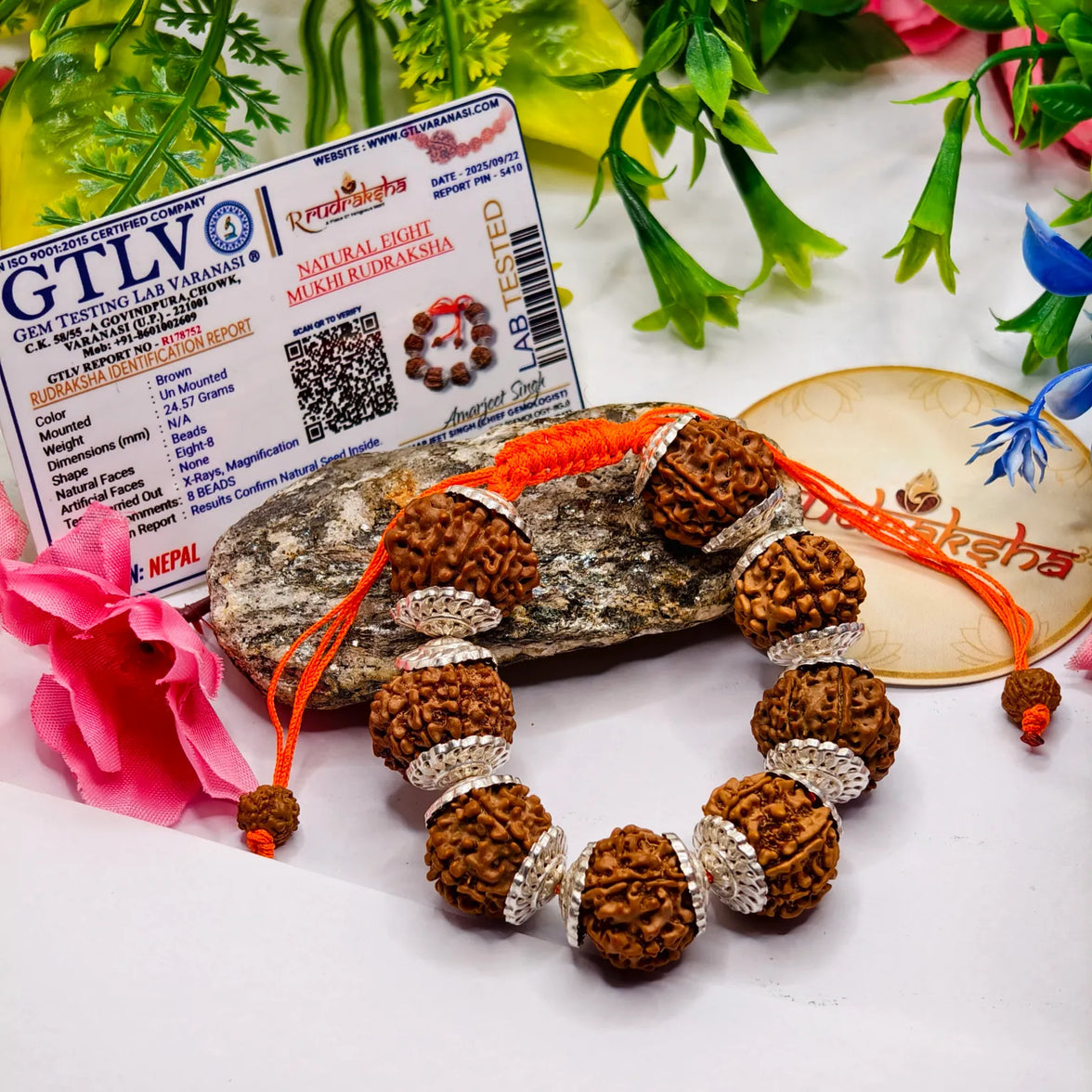 Certified 8 kMukhi Rudraksha premium Quality with lab report 