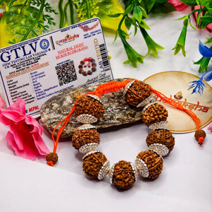 Certified 8 kMukhi Rudraksha premium Quality with lab report 