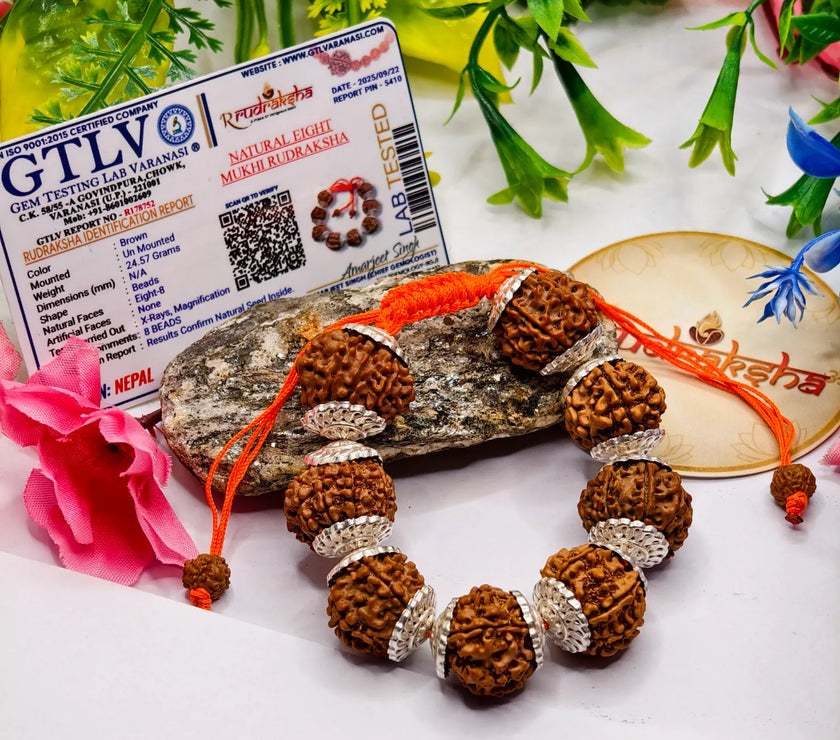 Certified 8 kMukhi Rudraksha premium Quality with lab report 