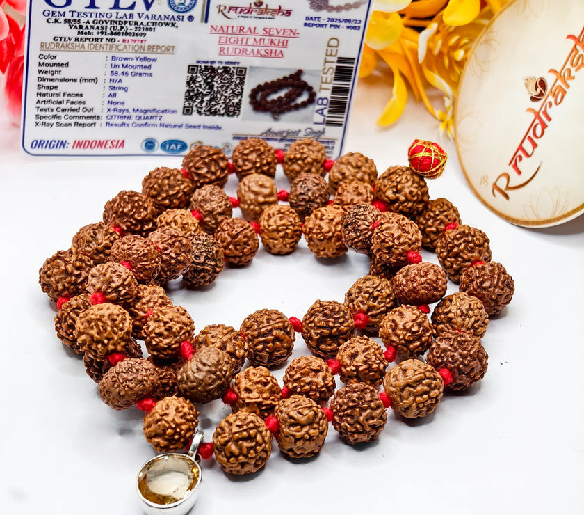 A lab certificate with product. Citrine Pendant with 7 and 8 Mukhi rudraksha combination Mala Lab Certified Premium Quality 