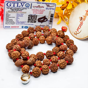 A lab certificate with product. Citrine Pendant with 7 and 8 Mukhi rudraksha combination Mala Lab Certified Premium Quality 
