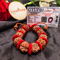 Rudraksha bracelet with red string on a dark fabric background, accompanied by a GTLV lab certificate.