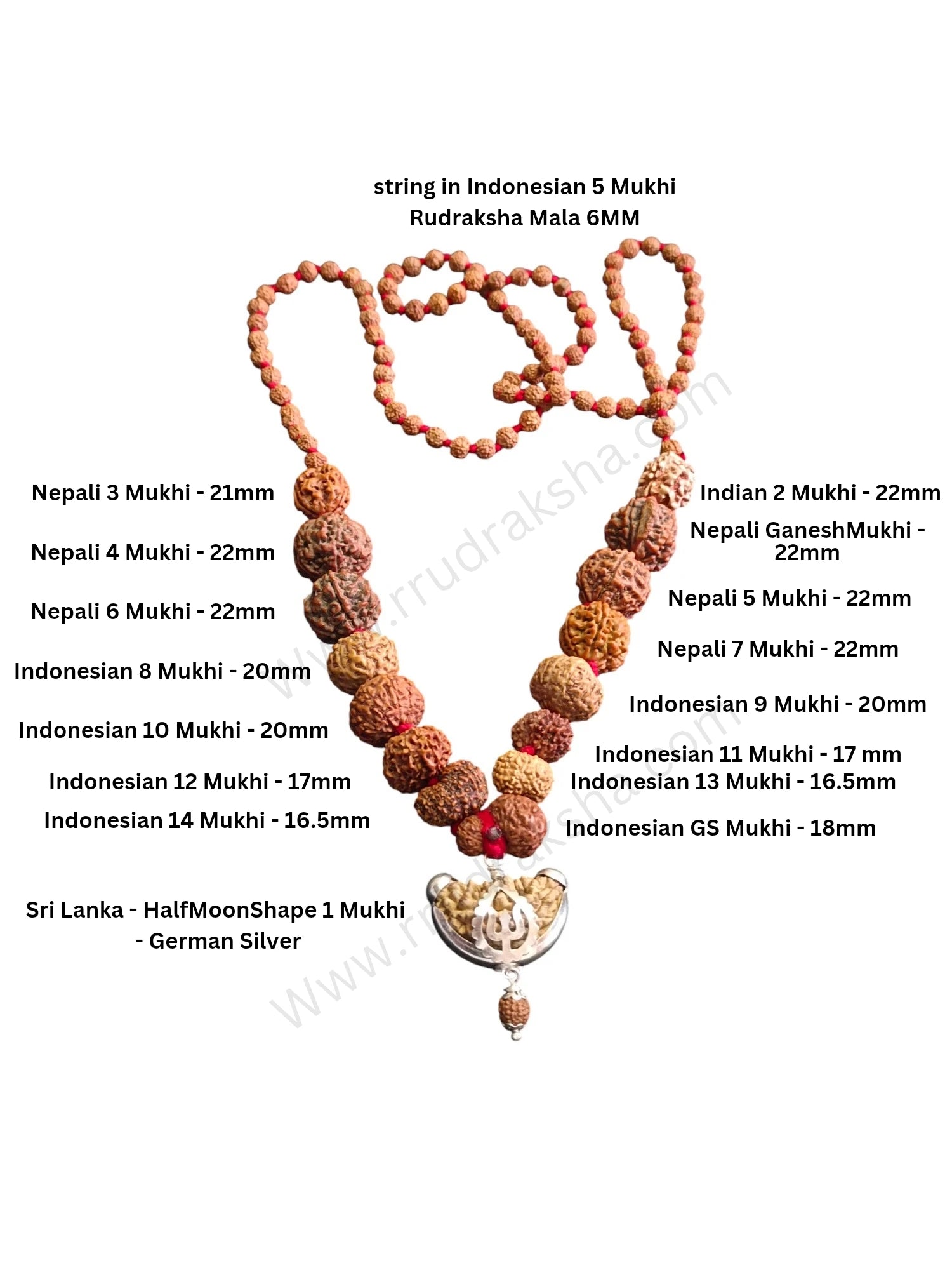 Original Siddha Mala / 1-14 Mukhi, Gauri Shankar and Ganesh Mukhi Rudraksha Mix Origin Beads Combination