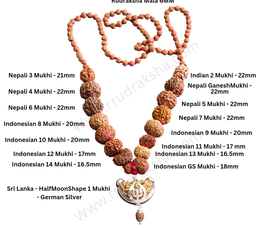 Original Siddha Mala / 1-14 Mukhi, Gauri Shankar and Ganesh Mukhi Rudraksha Mix Origin Beads Combination