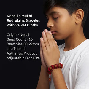 Detailed description of Nepali 5 Mukhi Rudraksha Bracelet With Valvet Cloths Lab Certified Premium Quality Product Nepali 5 Mukhi 