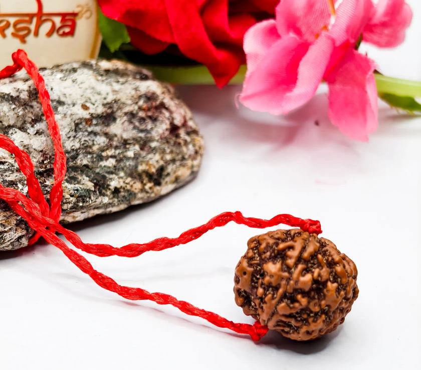Brown rudraksha bead on a red string with flowers and a stone in the background