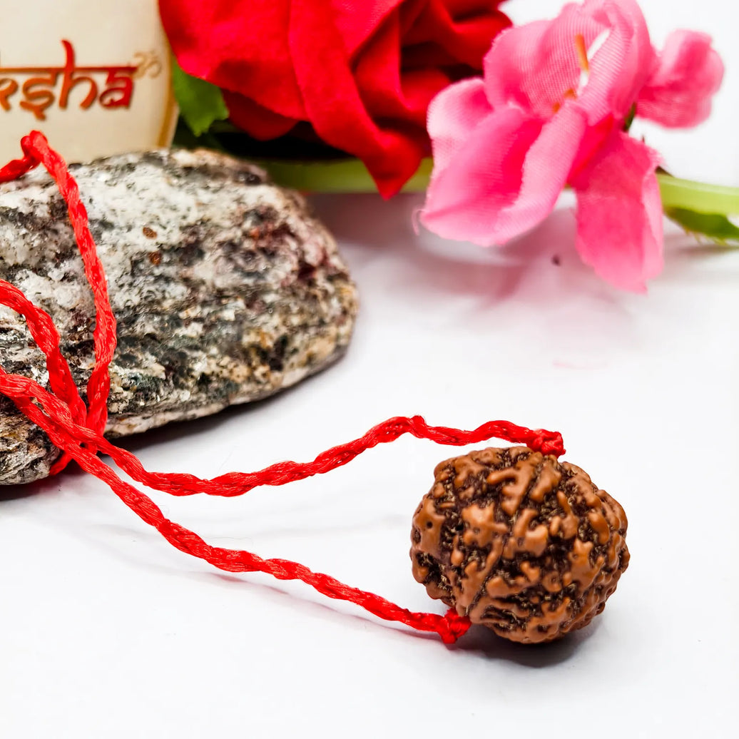 Brown rudraksha bead on a red string with flowers and a stone in the background
