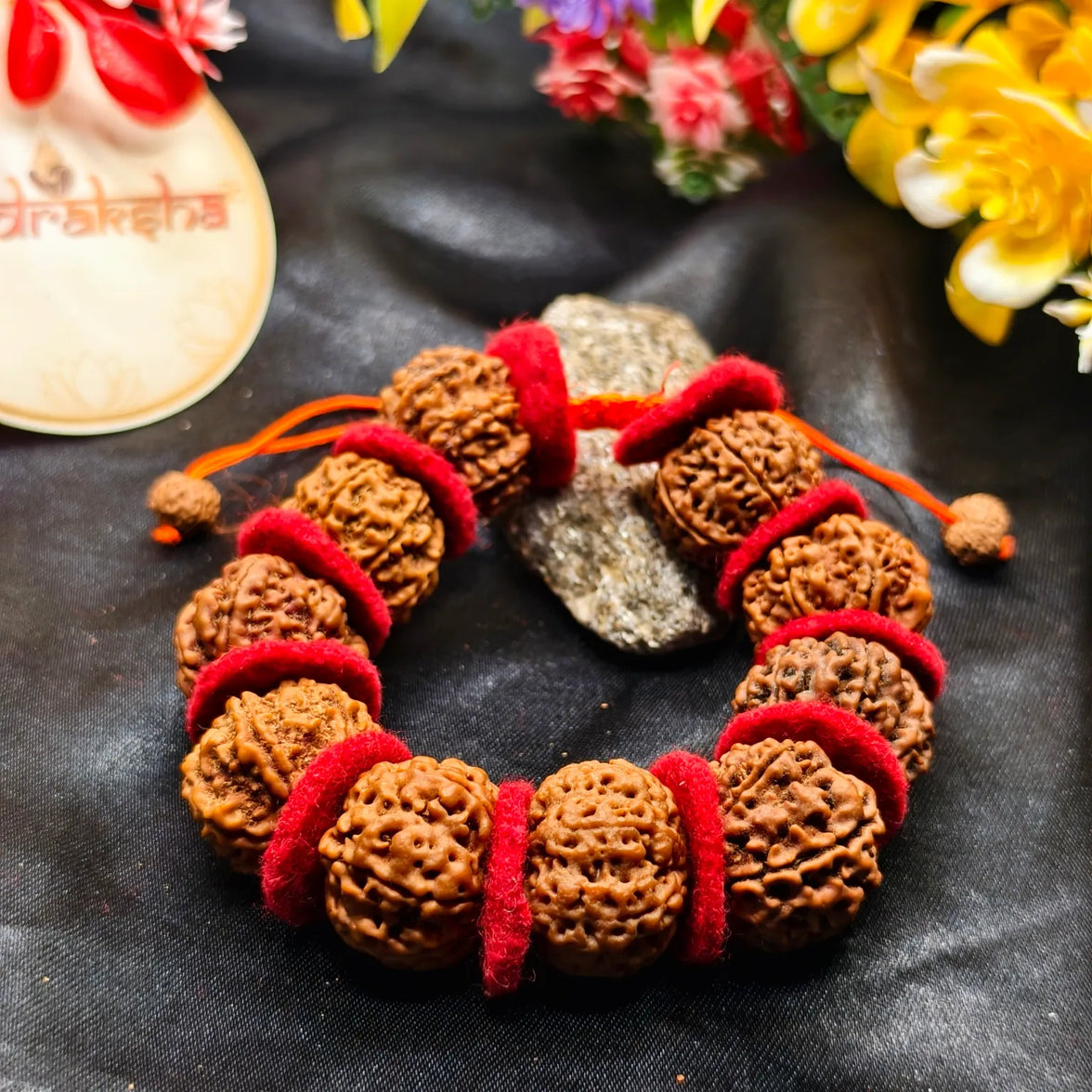 Beautiful 7 Mukhi Rudraksha Bracelet With Valvet Cloths 10 Beads of 7 Mukhi Rudraksha Bracelet With Valvet Cloths Lab Certified Premium Quality Product 