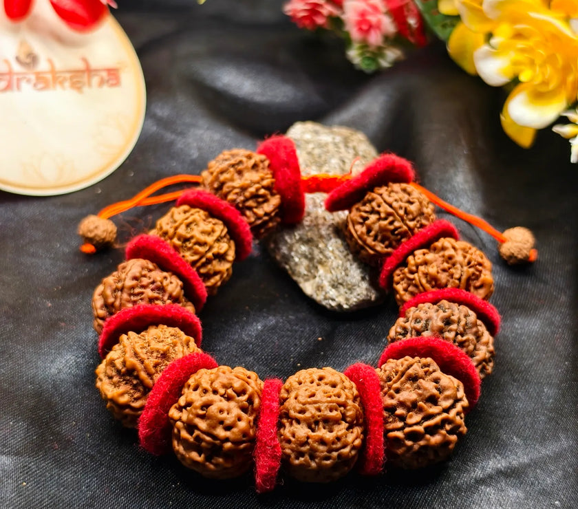 Beautiful 7 Mukhi Rudraksha Bracelet With Valvet Cloths 10 Beads of 7 Mukhi Rudraksha Bracelet With Valvet Cloths Lab Certified Premium Quality Product 