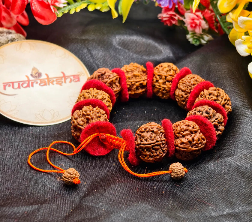 Premium Quality Nepali 7 Mukhi Rudraksha Bracelet With Valvet Cloths for women and men. 7 Mukhi Rudraksha Bracelet With lab report 