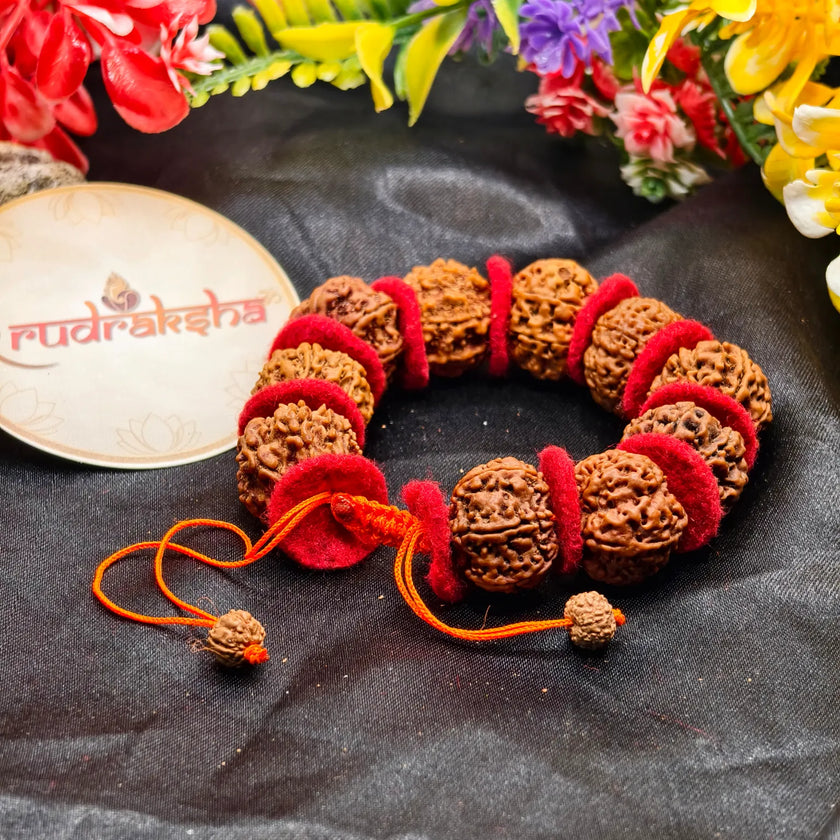 Premium Quality Nepali 7 Mukhi Rudraksha Bracelet With Valvet Cloths for women and men. 7 Mukhi Rudraksha Bracelet With lab report 