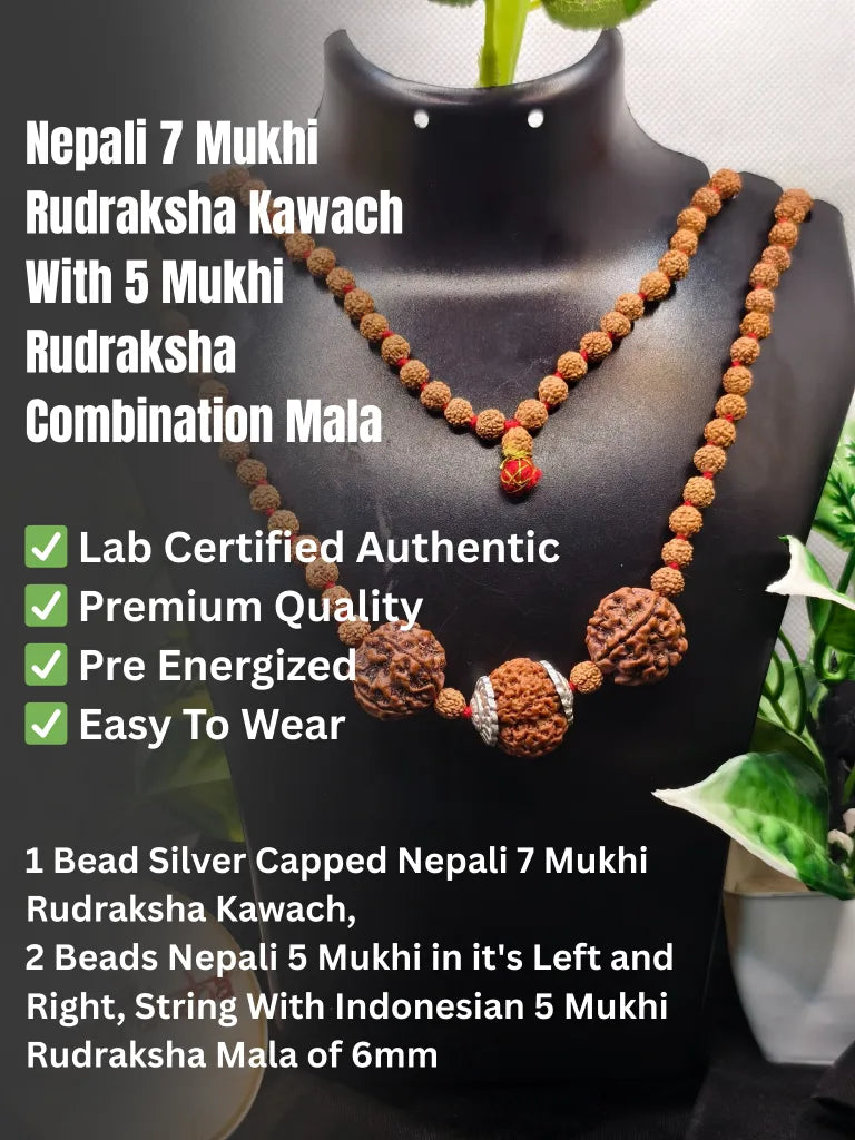 Necklace with beads on a mannequin, labeled as Nepali 7 Mukhi Rudraksha Kawach and 5 Mukhi Rudraksha Combination Mala.