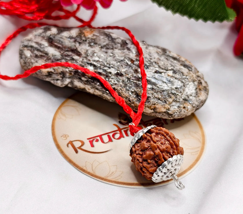 Nepal Origin 7 Mukhi Rudraksha Kawach Premium Quality Lab Certified Product. Authenticity prrofs included 