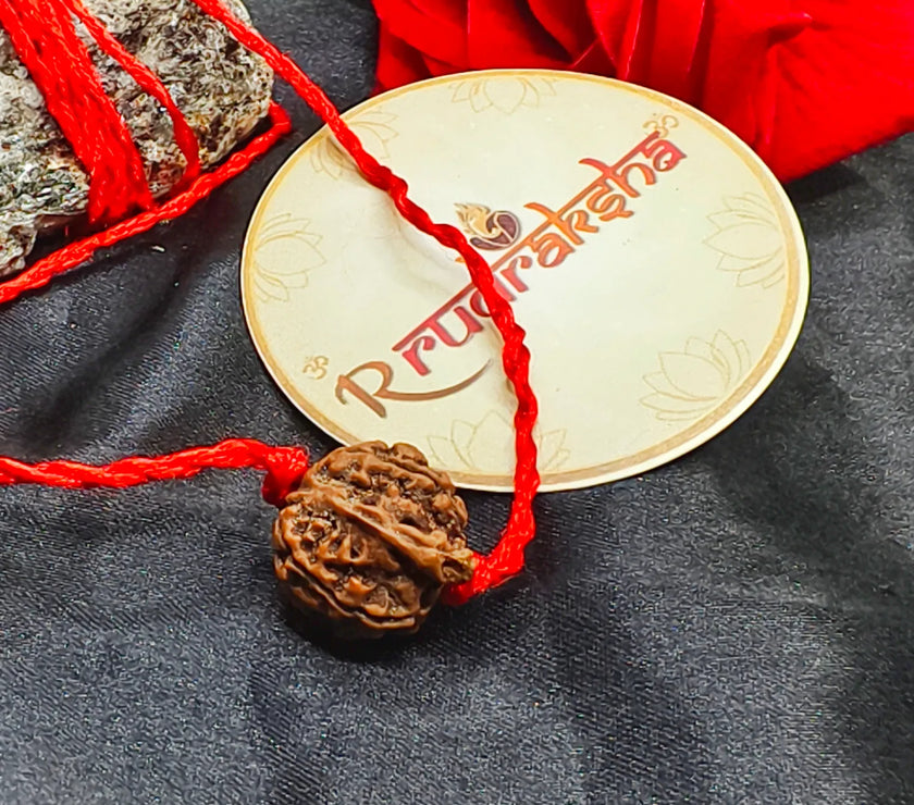Ganesh Rudraksha bead with red thread on a gold disc with 'Rudraksha' text, on a dark fabric background.