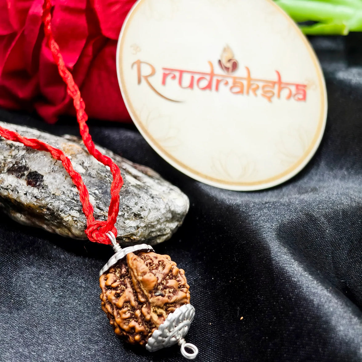 Nepali Ganesh Rudraksh Silver Capping, Genuine Nepal Origin Ganesh Mukhi Rudraksha Lab Certified, Ganesh Rudraksha 