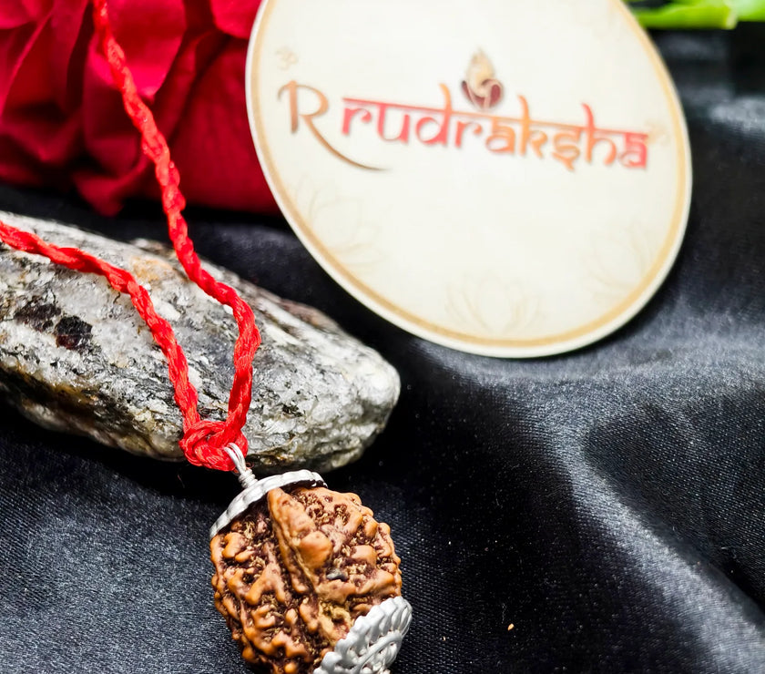 Nepali Ganesh Rudraksh Silver Capping, Genuine Nepal Origin Ganesh Mukhi Rudraksha Lab Certified, Ganesh Rudraksha 