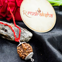 Nepali Ganesh Rudraksh Silver Capping, Genuine Nepal Origin Ganesh Mukhi Rudraksha Lab Certified, Ganesh Rudraksha 