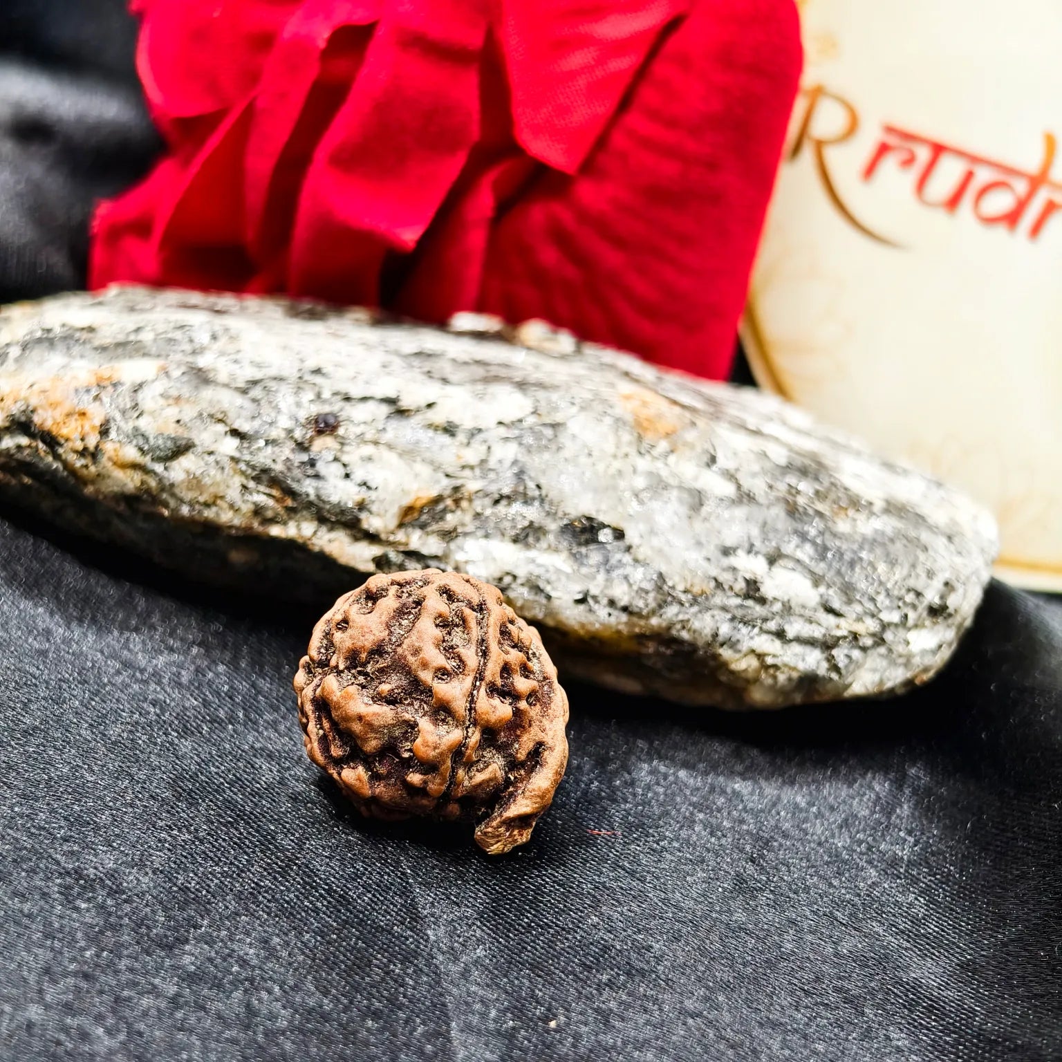 Ganesh Rudraksha Lab Certified, Original Ganesh Rudraksha, Certified Ganesh Rudraksha benefits, original Ganesh Rudraksha Certified 