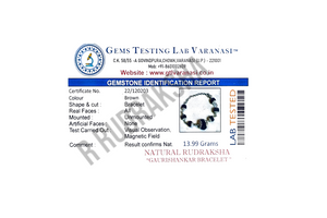 Black Gauri Shankar Rudraksha Silver Bracelet Lab Certified