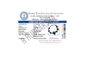 Black Gauri Shankar Rudraksha Silver Bracelet Lab Certified