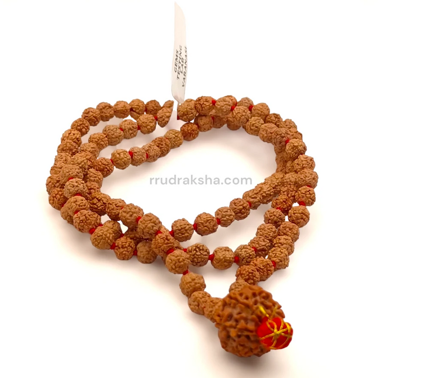 PhotoRoom-20230922_142433_4