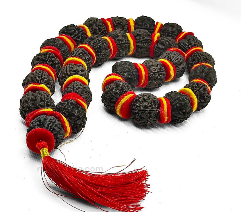 PhotoRoom-20230924_123349_2