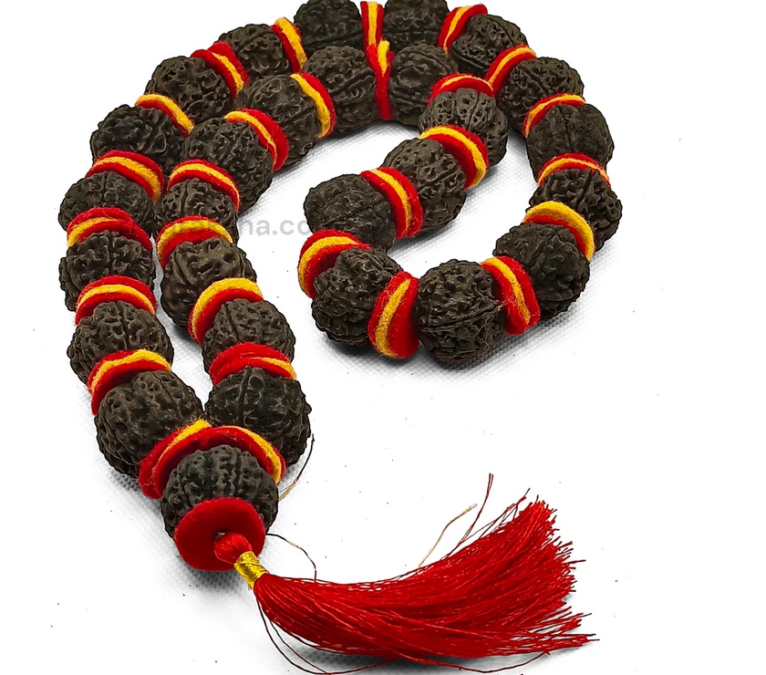 PhotoRoom-20230924_123349_3