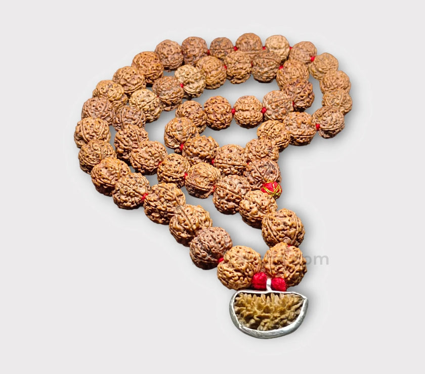 PhotoRoom-20231001_094402_1