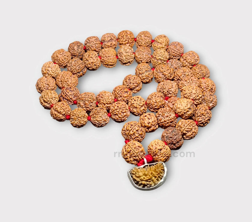 PhotoRoom-20231001_094402_2