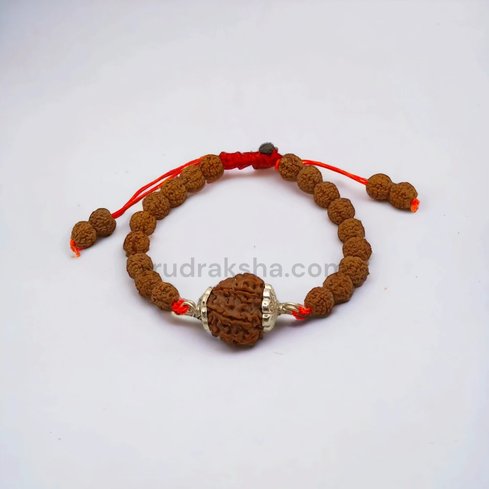 Pure 8 Mukhi Rudraksha SilverCapped Bracelet