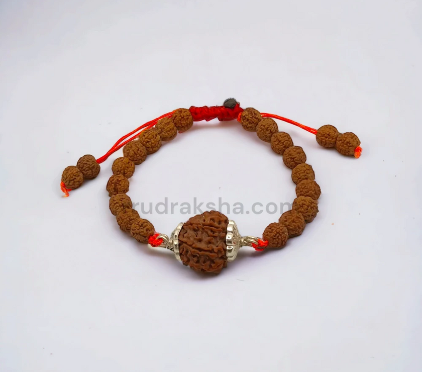 Pure 5 Mukhi Rudraksha SilverCapped Bracelet