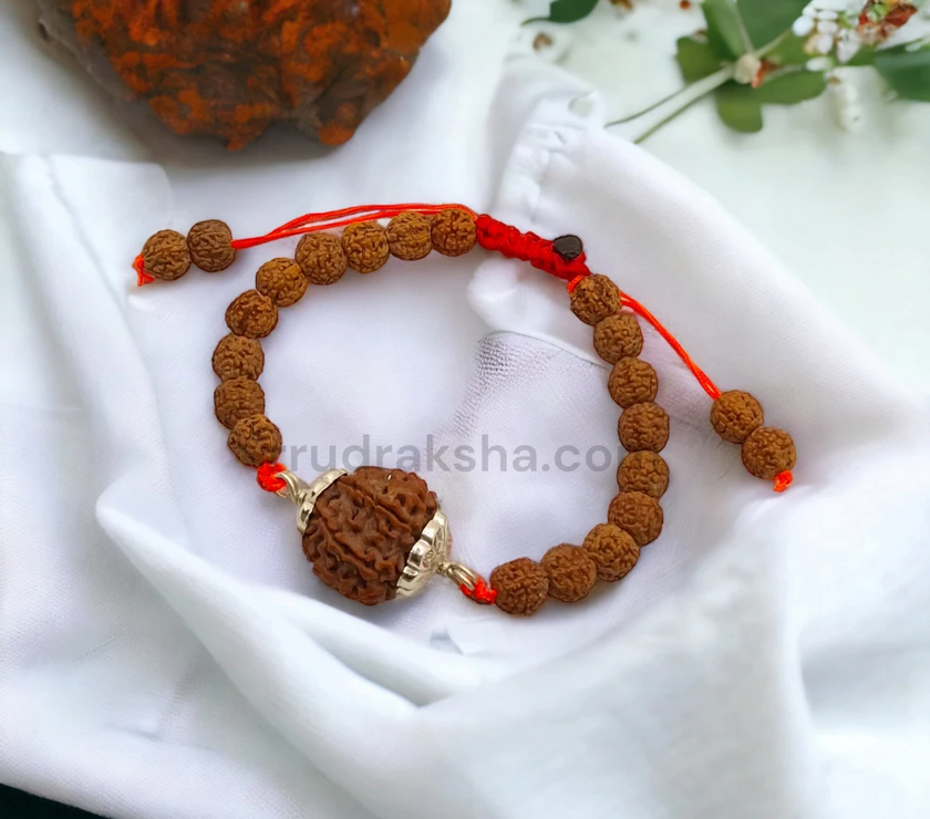 Pure 6 Mukhi Rudraksha SilverCapped Bracelet