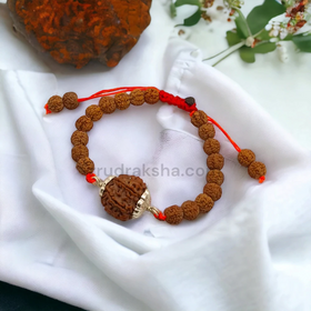 Pure 6 Mukhi Rudraksha SilverCapped Bracelet