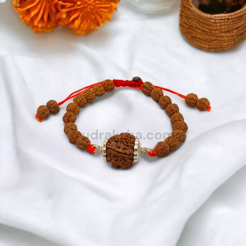 Pure 7 Mukhi Rudraksha SilverCapped Bracelet