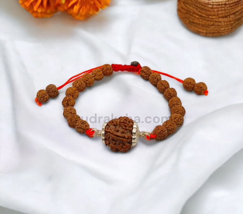 Pure 7 Mukhi Rudraksha SilverCapped Bracelet