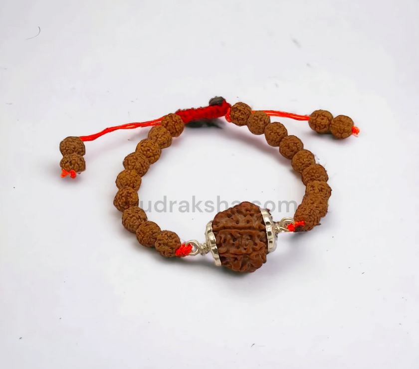 Pure 5 Mukhi Rudraksha SilverCapped Bracelet