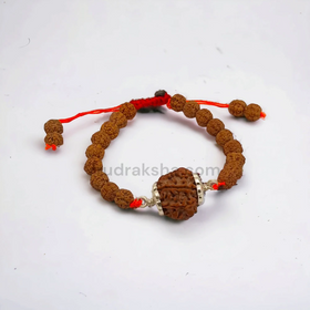 Pure 5 Mukhi Rudraksha SilverCapped Bracelet