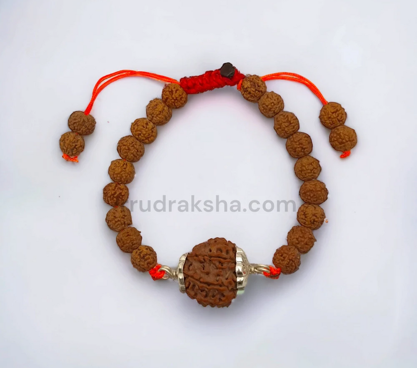 Pure 7 Mukhi Rudraksha SilverCapped Bracelet