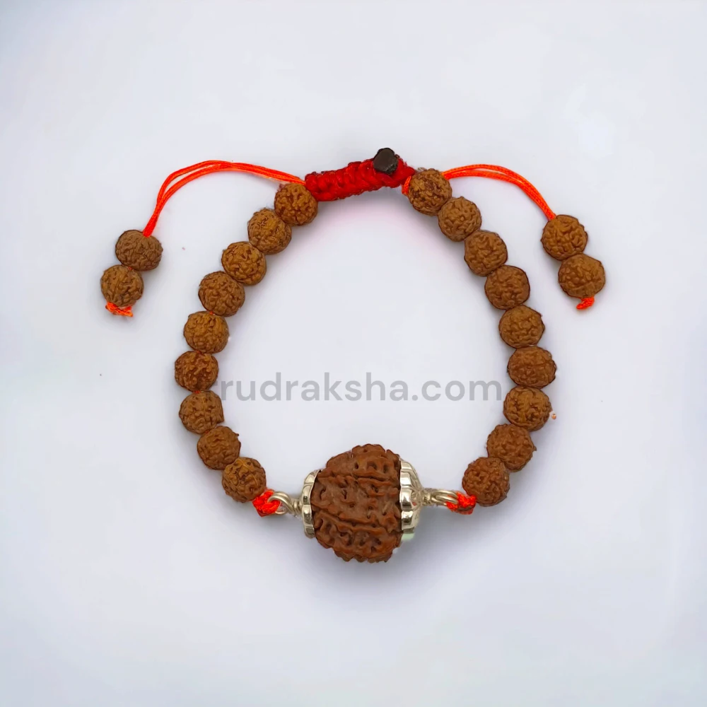 Pure 7 Mukhi Rudraksha SilverCapped Bracelet