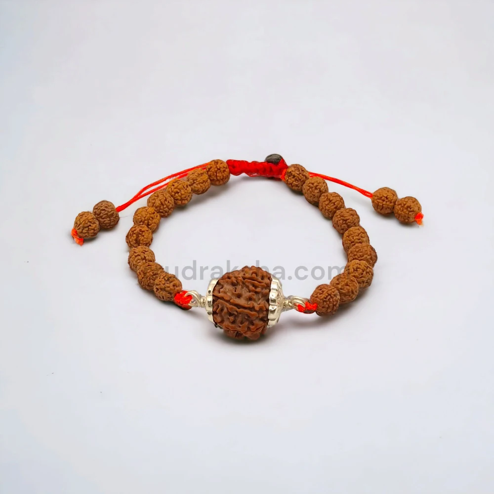 Pure 9 Mukhi Rudraksha SilverCapped Bracelet