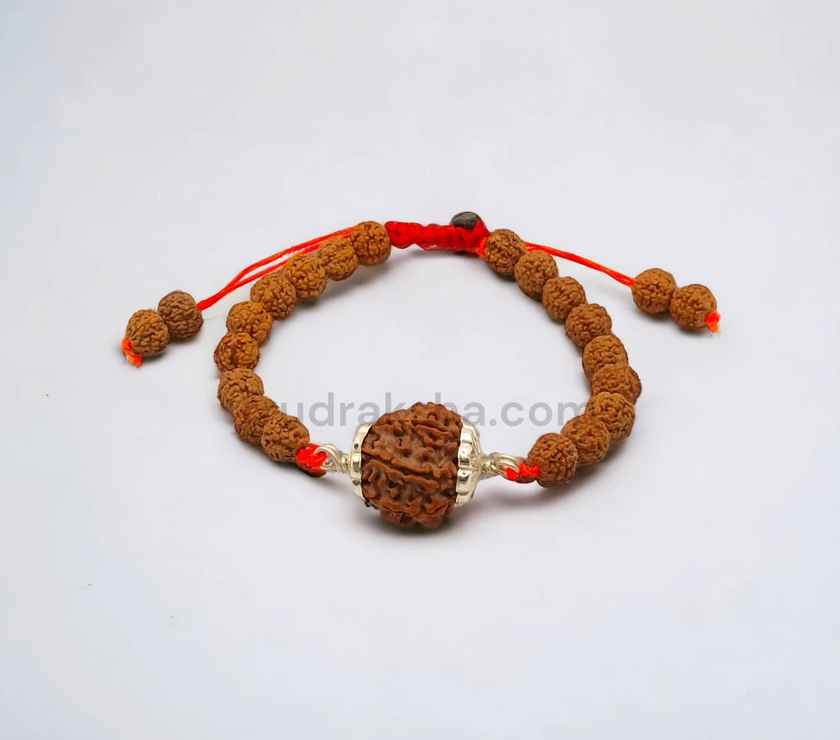 Pure 6 Mukhi Rudraksha SilverCapped Bracelet
