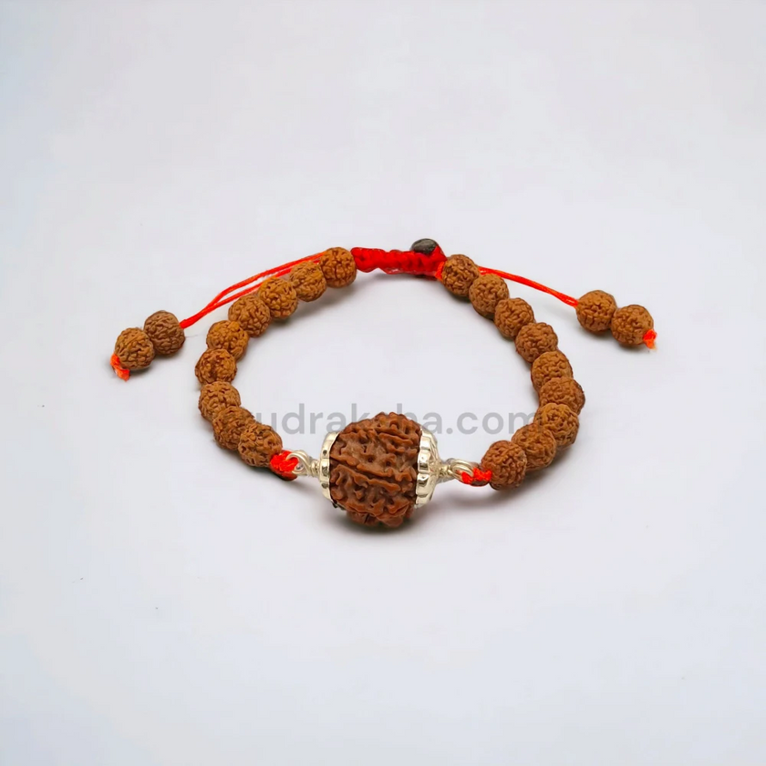 Pure 6 Mukhi Rudraksha SilverCapped Bracelet