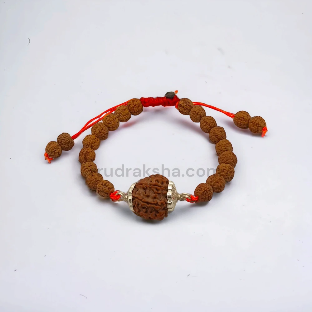 Pure 7 Mukhi Rudraksha SilverCapped Bracelet