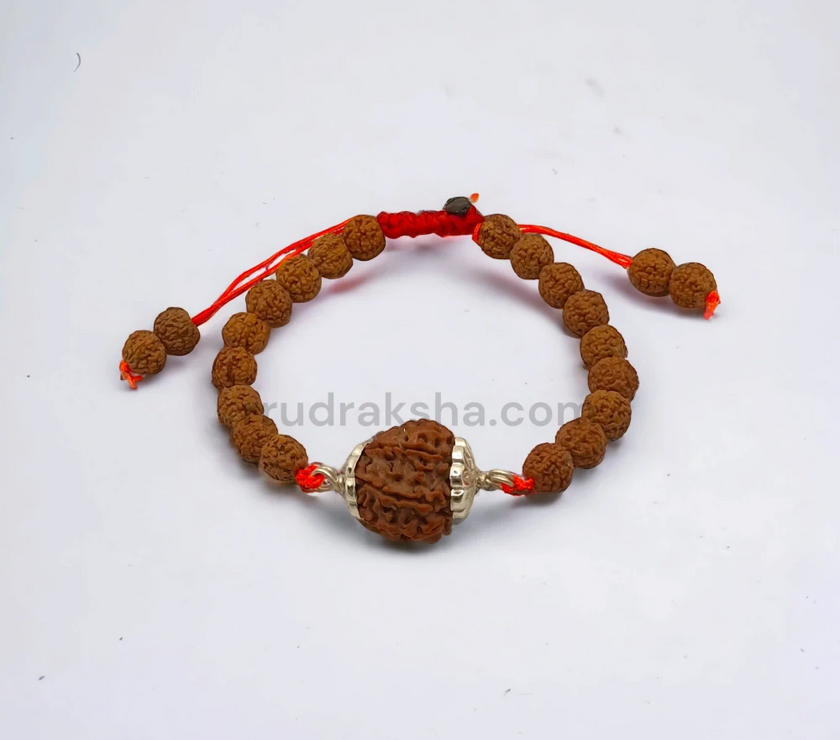 Pure 7 Mukhi Rudraksha SilverCapped Bracelet