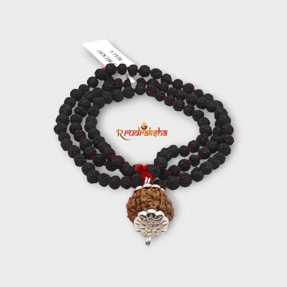 Nepali 7 Mukhi SilverCapped With Black Punchmukhi Rudraksha Mala