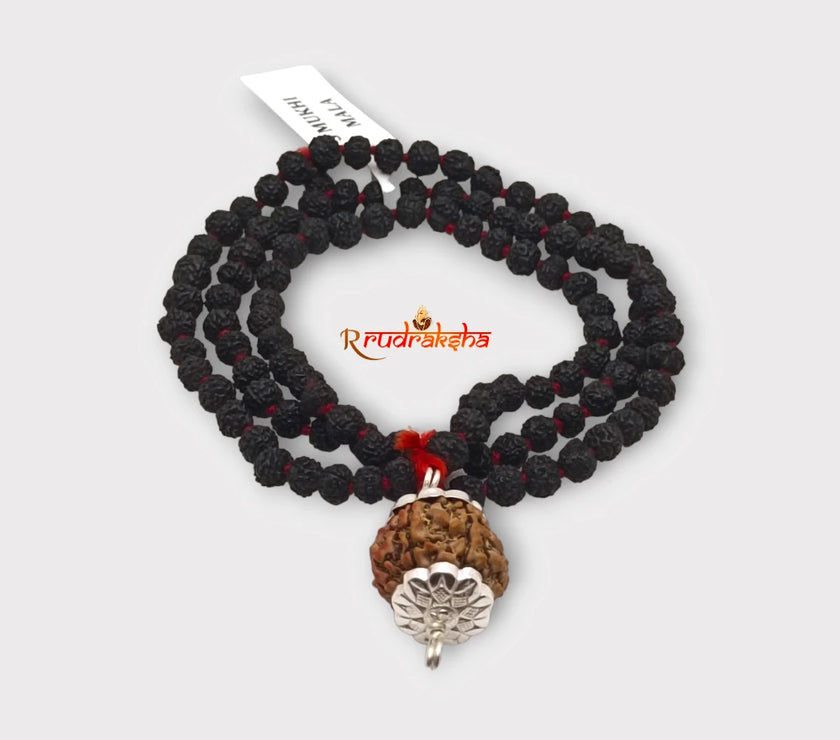 Nepali 7 Mukhi SilverCapped With Black Punchmukhi Rudraksha Mala