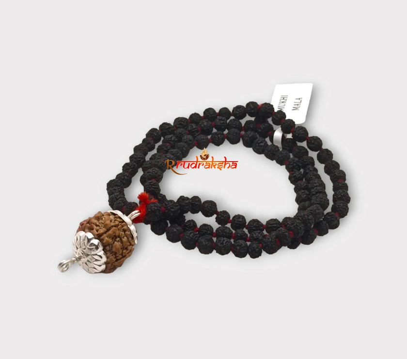 Nepali 7 Mukhi SilverCapped With Black Punchmukhi Rudraksha Mala