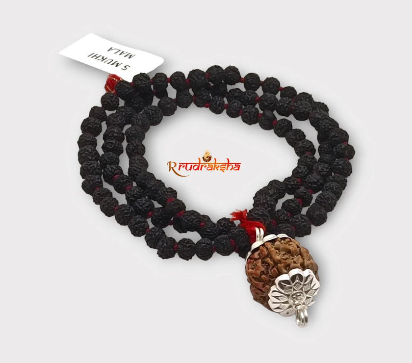 Nepali 5 Mukhi SilverCapped with Black Punchmukhi Rudraksha Mala