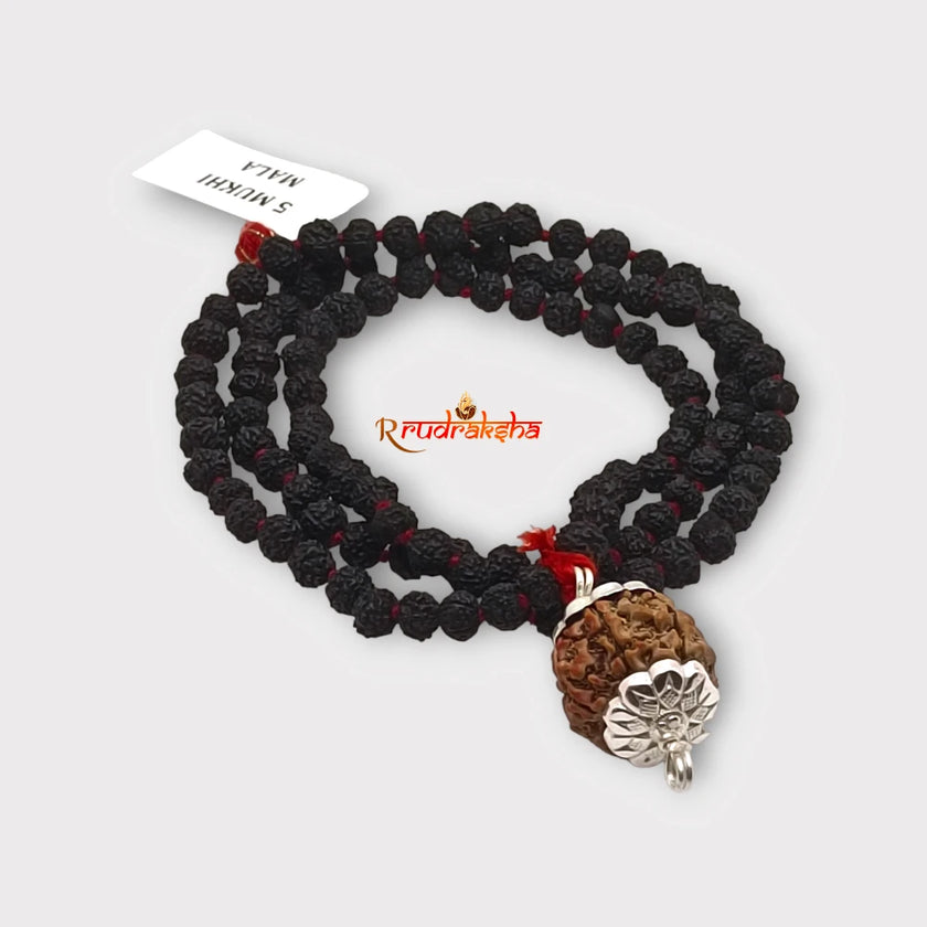 Nepali 5 Mukhi SilverCapped with Black Punchmukhi Rudraksha Mala