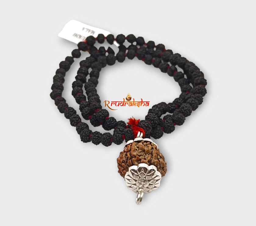 Nepali 5 Mukhi SilverCapped with Black Punchmukhi Rudraksha Mala